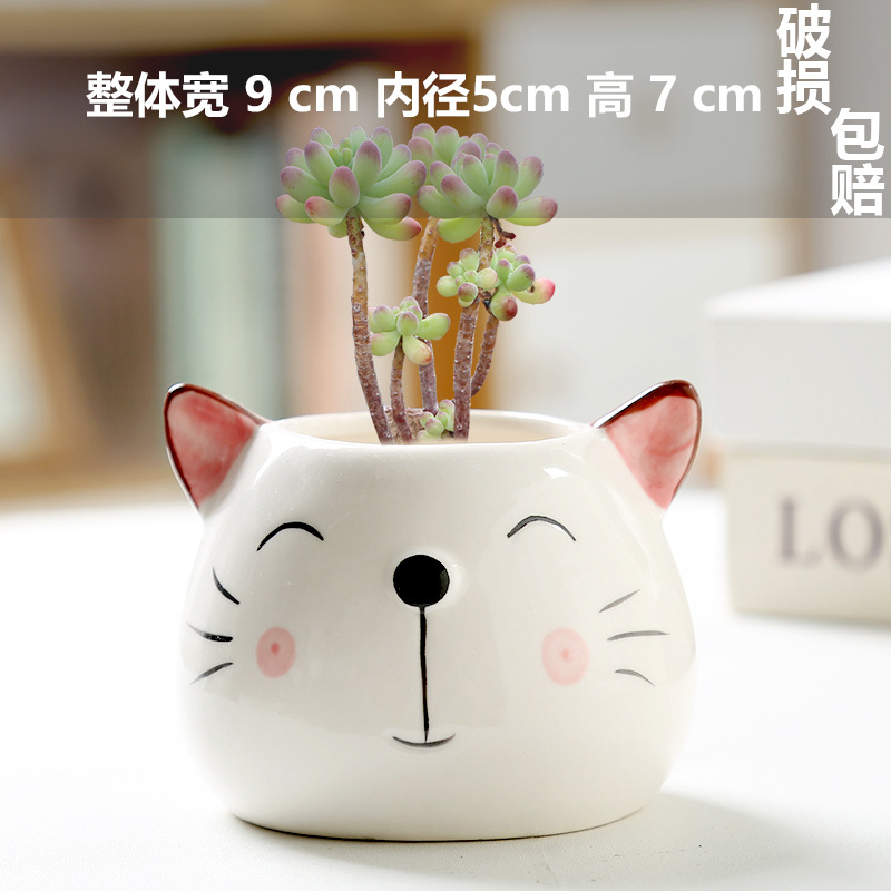 Macetas de cerámica para suculentas con diseño de animales de dibujos animados, pequeño tamaño, para estante de flores en casa, suministro al por mayor