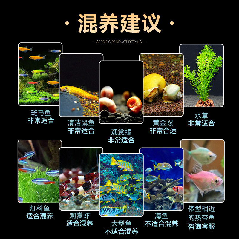 Gallery 4