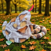 �¿�ë�q������l�̈����ЌW���̲ļ���[�O������ż�������R��