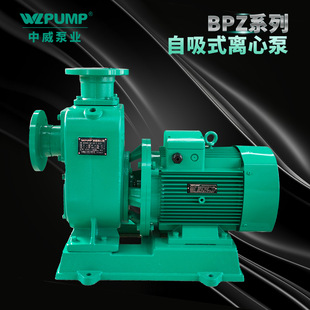 BPZ150-300�����ØIWLPUMP���ú�ˮ�����ܵ�������