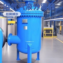 生产高效气液分离器 DN100空气油水分离器设备沼气汽液分离器