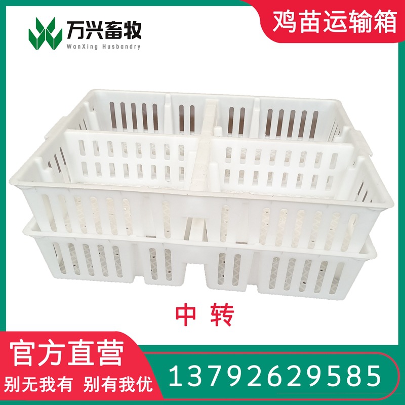 厂家供应四格鸡苗筐塑料鸡苗笼塑料鸡笼子纯原料图片