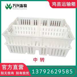 厂家供应四格鸡苗筐塑料鸡苗笼塑料鸡笼子纯原料图片
