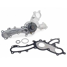 �m���S��ʹ��׿��_˹��܇ˮ��  1610039435, 1610039436