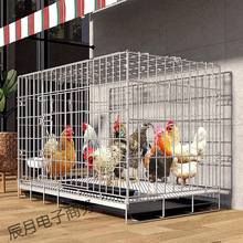 鸡笼子家用室外宠物笼子养鸡笼铁丝网鸭笼无臭鸭子笼子小鸡仔铁笼