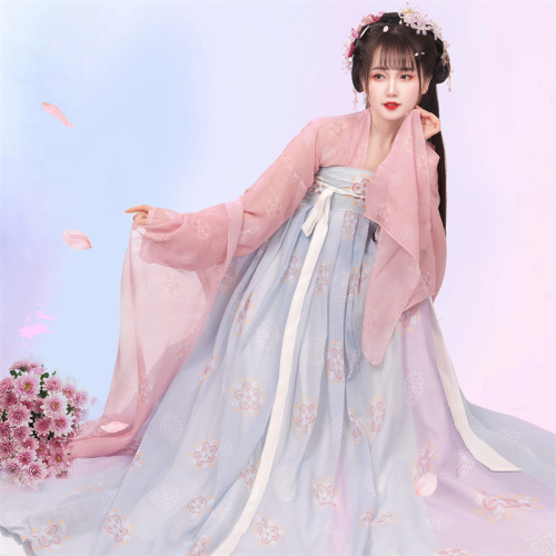 Tang-style Hanfu for Women, Chinese Traditional Style, Level-collared Blouse and Skirt, Ethereal and Elegant, Modernized Original Summer Ancient Costume, Thin and Transcendent Set
