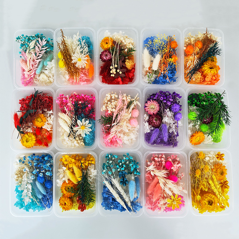 Eternal Flower Dried Flower DIY Kit Starflower Fan Picture Frame Aroma Decorative Material Ornament Valentine's Day Gift