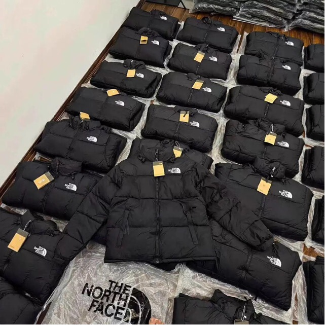 High-Quality North Face American Version 1996 down Jacket Winter Men's and Women's Stand-Up Collar Thickened Windproof Puffer Jacket Coat Cotton Clothing