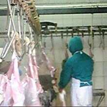 �����_�������׾��O�� �����ך���ˮ������S��