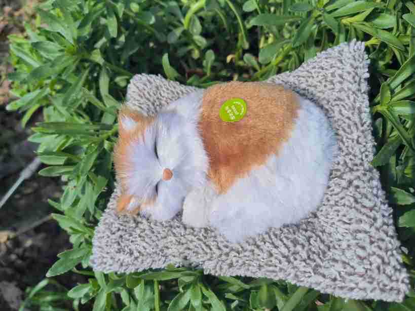 Decoración interior del automóvil adornos de automóviles carbón activado para dormir gato muñeca bolsa de carbón de bambú para gatos para eliminar formaldehído para eliminar el olor de carbón de bambú gato image 8