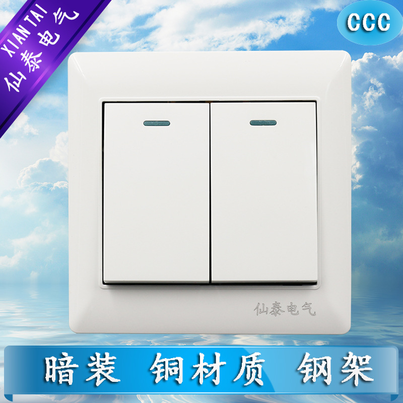 供应仙泰86型白色双联单控开关 厂家销售XIANTAI二开单控开关