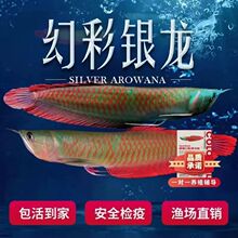 �߲��y���~�Ꭷ�^�p�~�д����Lˮ��ؔ�~���]��������~