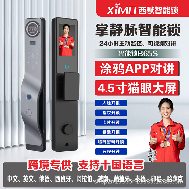 涂鸦TUYA人脸识别智能锁主动视频对讲指纹锁入户门刷卡密码锁B65S