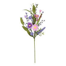 ƿ羳ļҾb滨ֹrɫٻN޹²ݲ֦