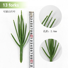 ����ֲ�����֦�ɻ��U�F�z���ϲ廨�҃�ֲ���쾰�����bS�����l