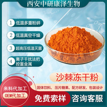 沙棘冻干粉新疆沙棘全果粉/沙棘全果超低温冷萃沙棘果粉固体饮料