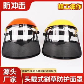 防护面罩;防冲击眼镜;护目镜