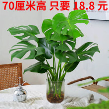 �W�tˮ�����������Ի��ܲ���ƿ���b�҃ȿ͏d���B�Gֲ���~�_������