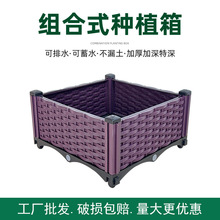 �̨�N�ˌ����������픲ˈ@�Nֲ���پ������L�������ϑ��⻨��