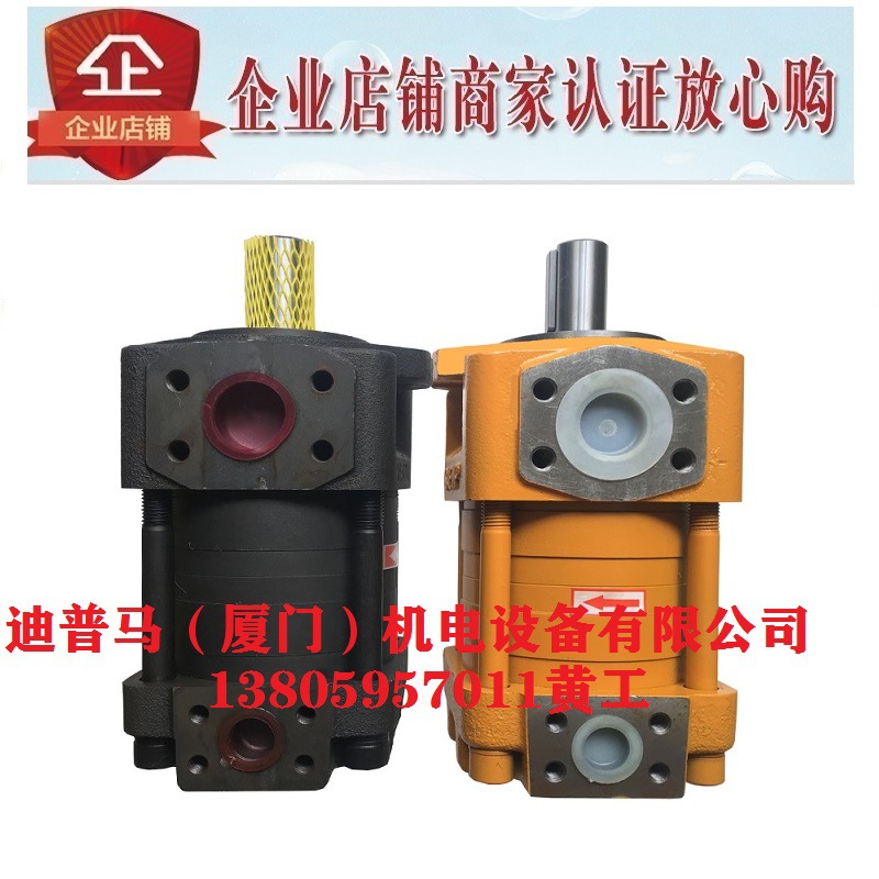 CHENGJIE诚捷齿轮泵NT4-C125F NT5-C160F NT5-C200F NT4-C100F
