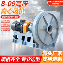 8-09D�� �߉��x���L�C���I�͸ߜ�偠t���L�C���L�C���L�����O��