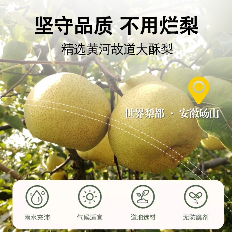 Roasted Tangerine Pear Paste Yi Shao Li Gao 150g Box Traditional Slow Simmered Dangshan Pear Herbal Spread quality and texture