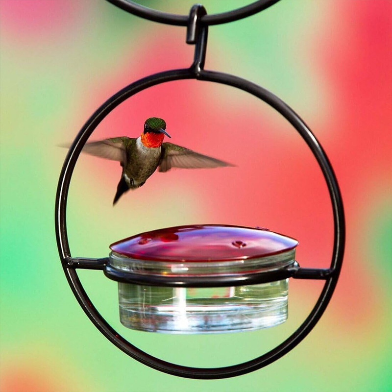 [Metal Hummingbird Water Feeder ]