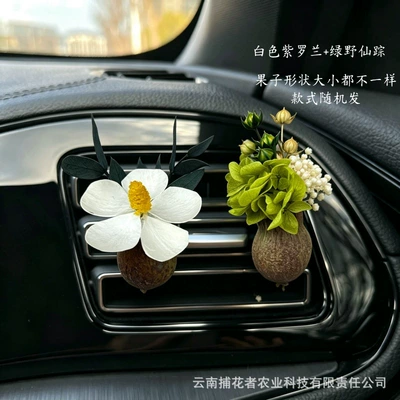 Car Perfume Aromatherapy — Flower Car Air Freshener Vent - wizard-of-oz-white-violet-gulu-fruit-car-style-free-essential-oil