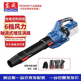 Dongcheng Hair Dryer Lithium Brushless Storm 40V Snow Blowing Machine Blowing Leaves DCQF40171 Dongcheng Tools Wholesale