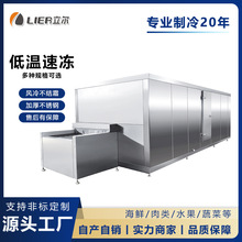 大型食品果蔬急冻冷冻设备速冻水饺生产线 调理品速冻装置设备