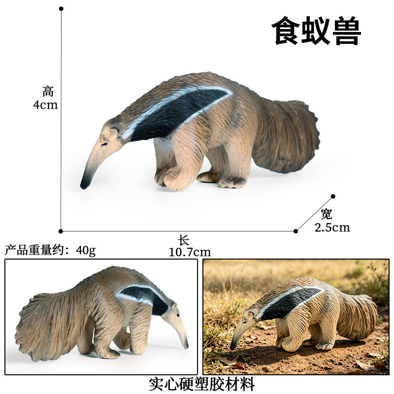 M-1435 anteater