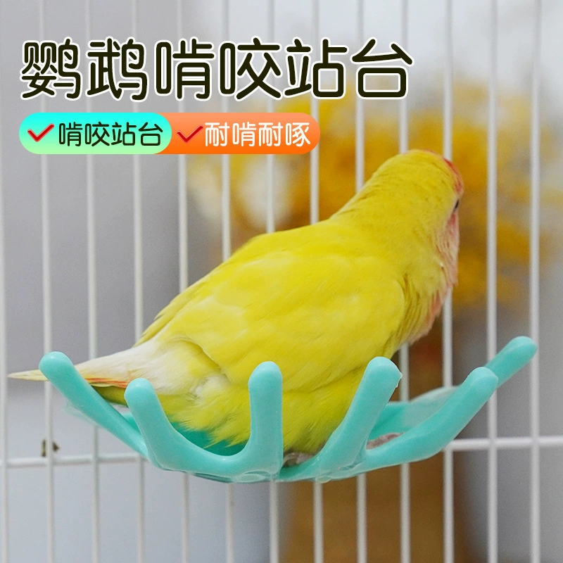 Пересадочная площадка для попугаев, небольшая клетка для птиц, платформа для отдыха для волнистых попугаев, небольшая платформа для клеток для канареек, оптовая продажа, дропшиппинг.