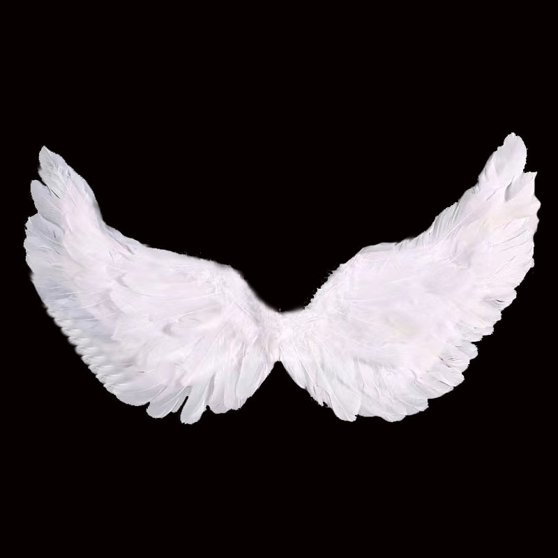 Manufacturer Swallow-Shaped Angel Feather Wings Children's Performance Stage Props Adult Masquerade Dress Wholesale Fashion