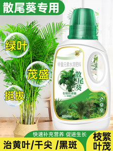 Sunflower Nutrient Solution, Flower Fertilizer, Yellow Leaves, Phoenix Tail Bamboo Fertilizer, Hawaiian Bamboo Rich Coconut Fertilizer