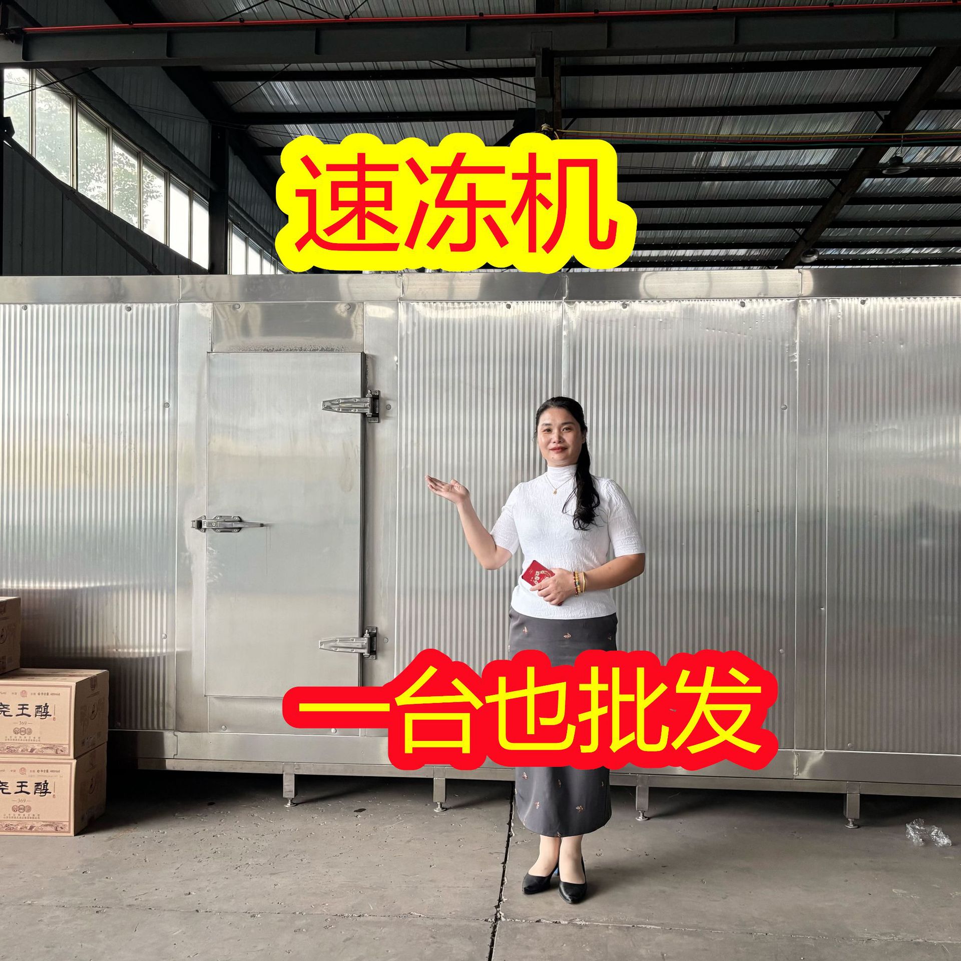 全自动速冻机厂家氟利昂速冻机海水饺带鱼元宵薯条速冻加工生产线