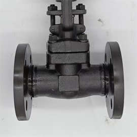 法兰图片-闸阀25CZ941H锻钢