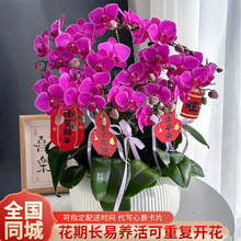 �����m���Ԏ����r�����fͬ�Ǳ�������������_�I���w��������