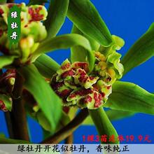 24�N�m����ȫ��19���m���m�����t�� ��t�ۻ��ڿɎ���������