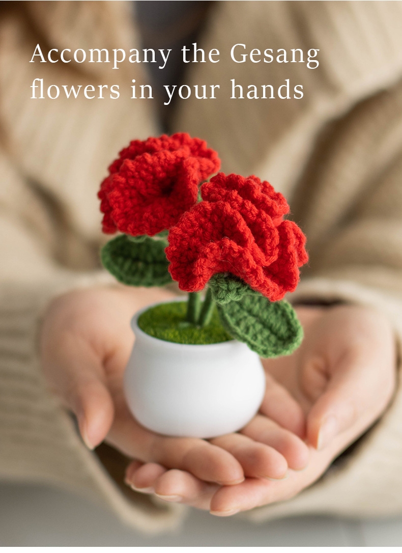 Hand-knitted double-headed carnation potted plants, finished woolen artificial flower ornaments, festival gifts, cross-border bestsellers at stalls pic 9
