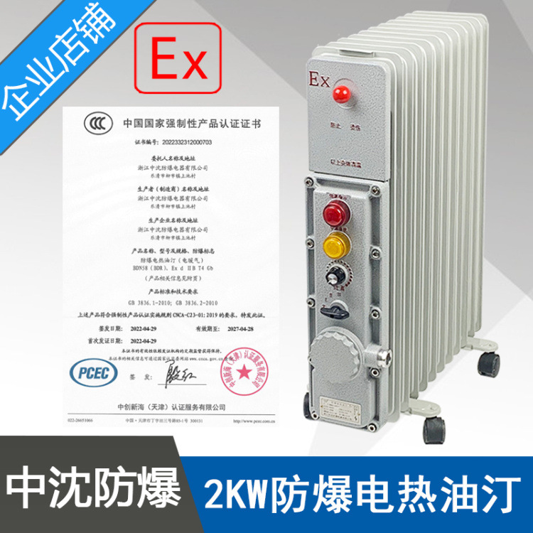 BDN58-2000W防爆电热油汀功率2KW11片220V防爆电暖气取暖器合格证