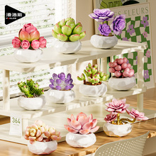 ˹655056-65ݘ߶ֲ辰҃ȼٻֲ[