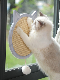 Cat toy cat scratch board wear-resistant crumbs cat scratch pad wall sisal claw grinder vertical suction cup scratch board cat