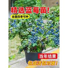 �{ݮ��������Ԏ����l؛�ش�̖�ϱ����Nֲ�����ļ��{ݮ���Թ�����