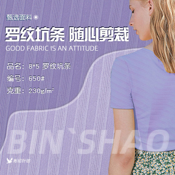 Shaoxing Binshao Knitting Factory Stretch Pit Rib Fabric Fashion Casual Knitted Ice Silk Rib Fabric
