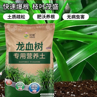 �ԷN��Ѫ�����N��횘�I�B�����������o���������ϷNֲ��ֲ������