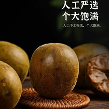 �S��ֱ�N�_�h�������l1���b�V���_�h�����B��������l�ɴ�