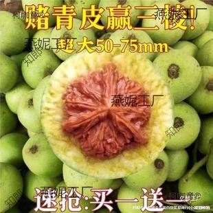 ���Ǫ{���^����y���ñ��Ƥ�������ـ��Ƥ���ܳ���������