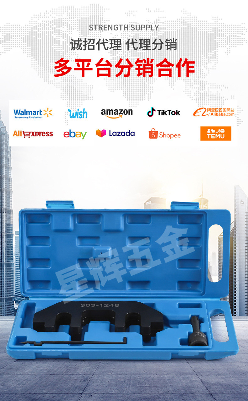Timing Tool for Ford Edge, Mustang, Explorer, Mkx, Lincoln 3.5L, 3.7L, 4.0L V4 Engines