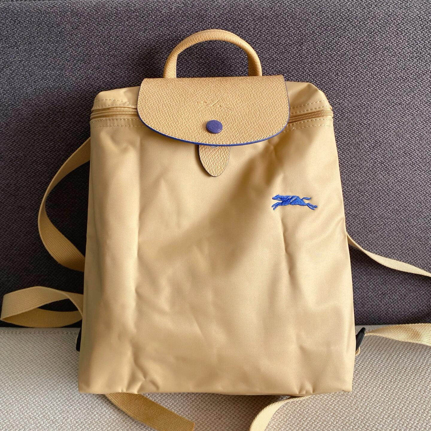 Anniversary Khaki Backpack