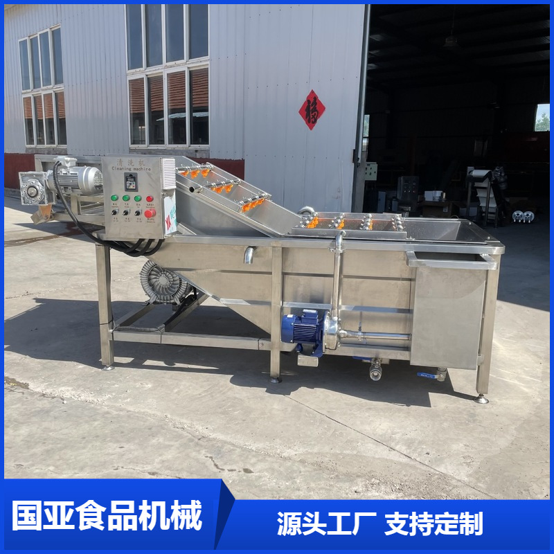 胡萝卜清洗机 国亚全自动气泡清洗机 果蔬类去泥清洗设备